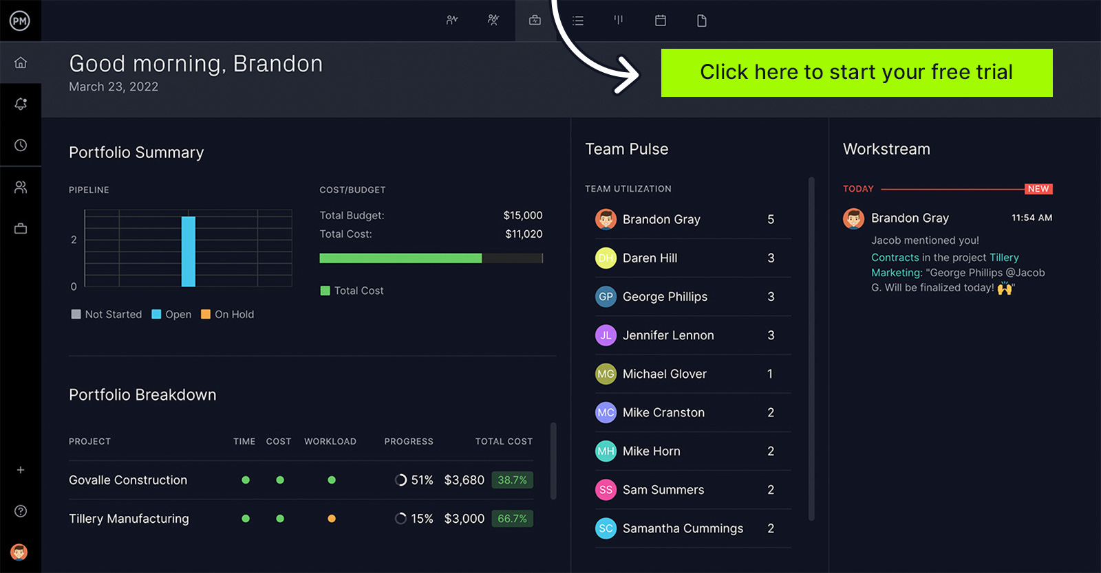 Screenshot of the portfolio summary and portfolio breakdown in ProjectManager