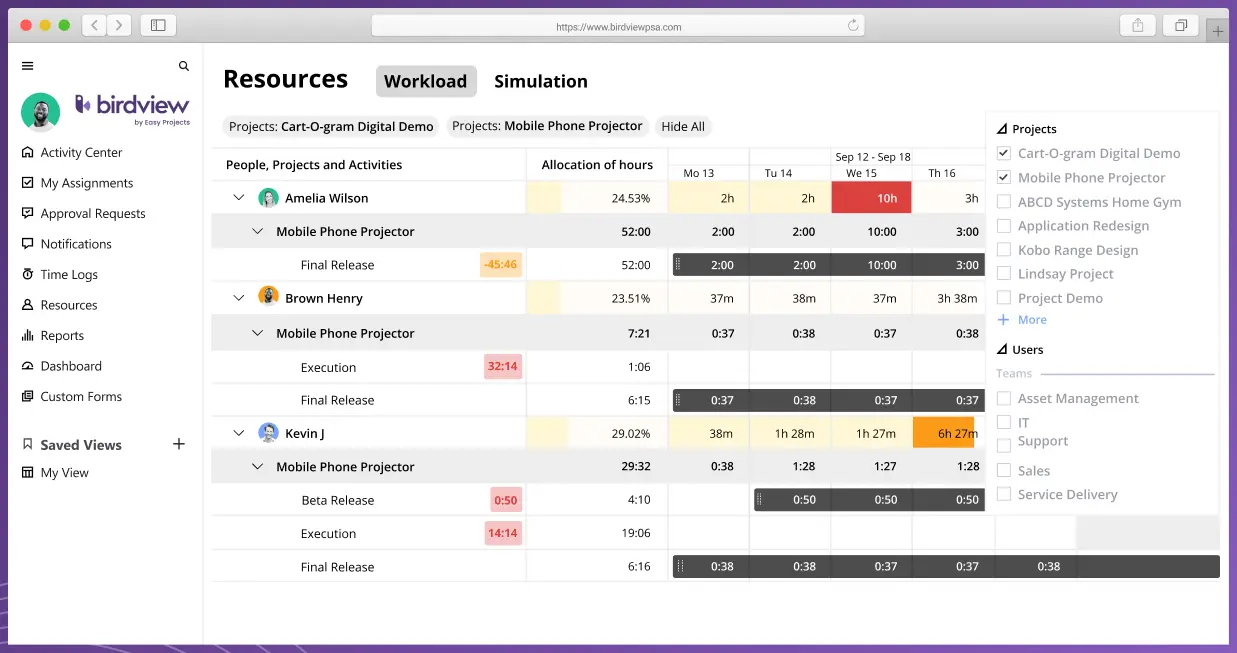 resource management software, birdview psa