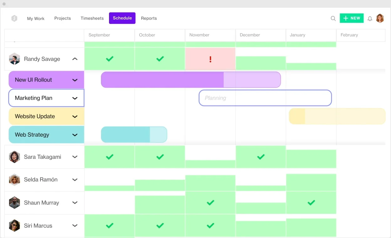 resource management software, forecast